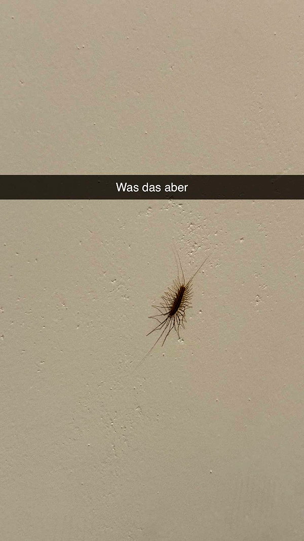 alexissshv snapchat image archive image