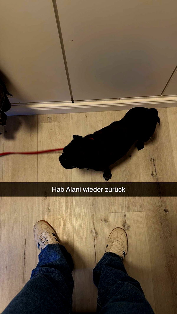 alexissshv snapchat image archive image