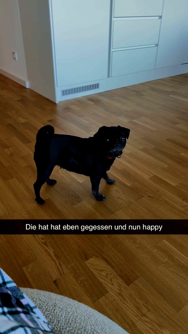 alexissshv snapchat image archive image