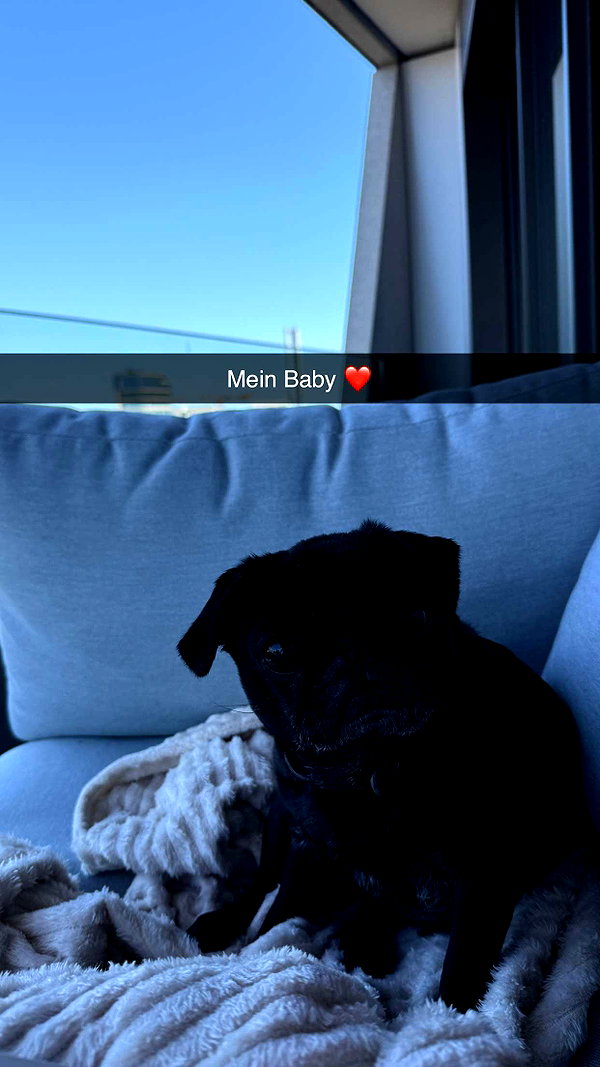 alexissshv snapchat image archive image