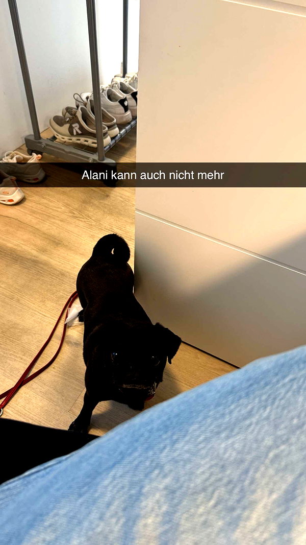 alexissshv snapchat image archive image