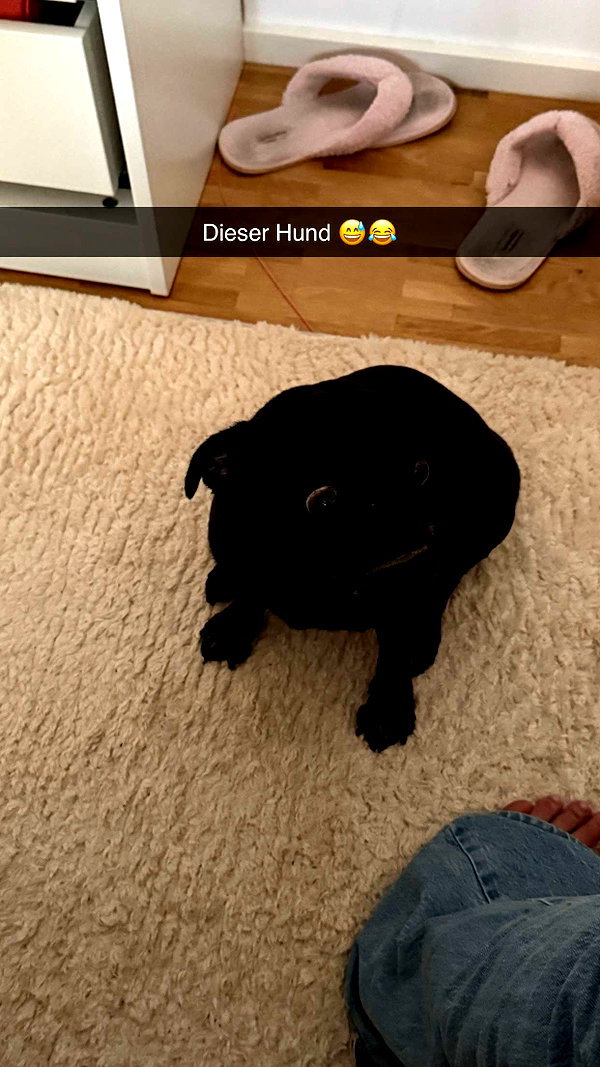 alexissshv snapchat image archive image