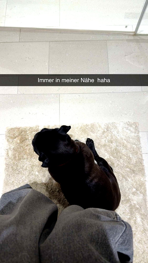 alexissshv snapchat image archive image