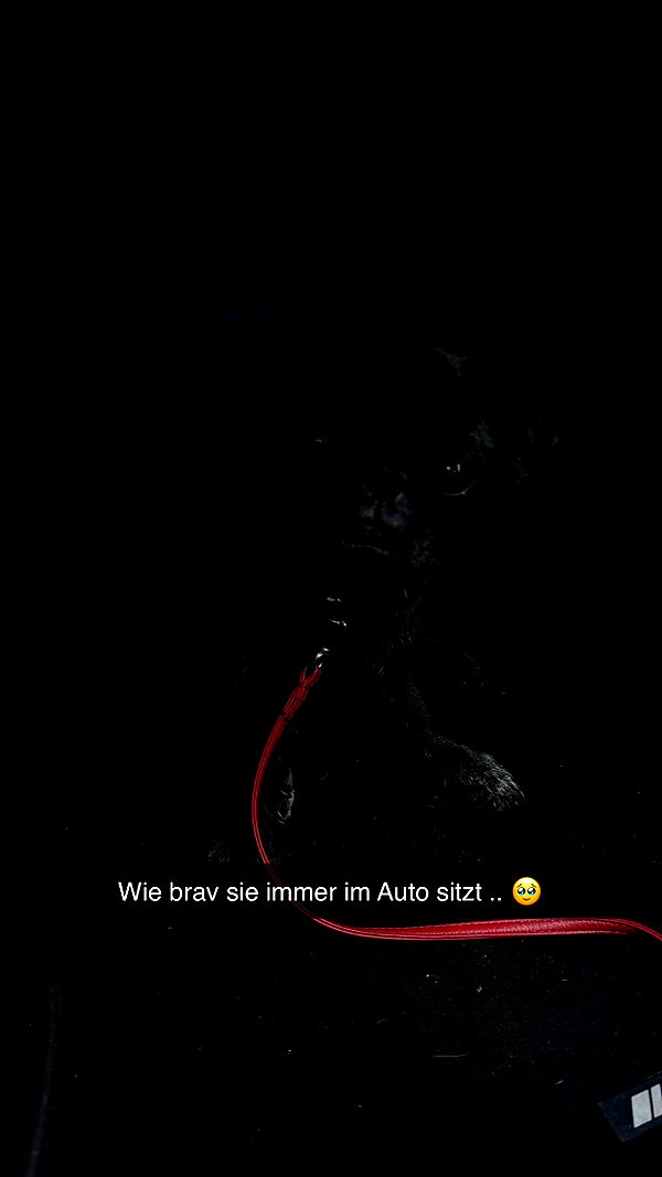 alexissshv snapchat image archive image