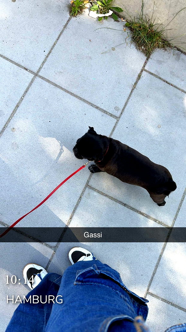 alexissshv snapchat image archive image