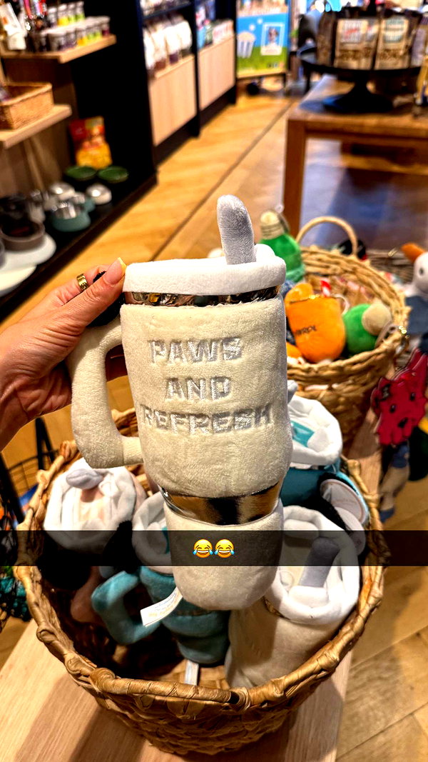 alexissshv snapchat image archive image