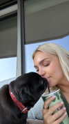 alexissshv Altpins Profile Picture