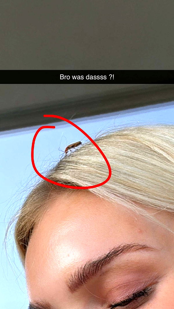 alexissshv snapchat image archive image