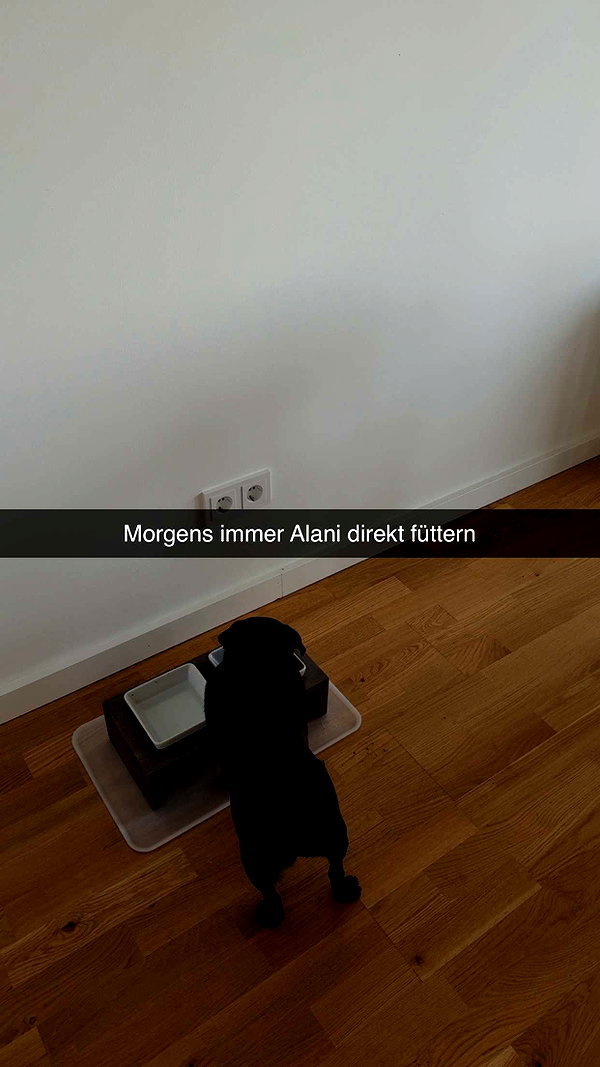 alexissshv snapchat image archive image