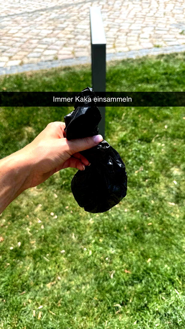 alexissshv snapchat image archive image
