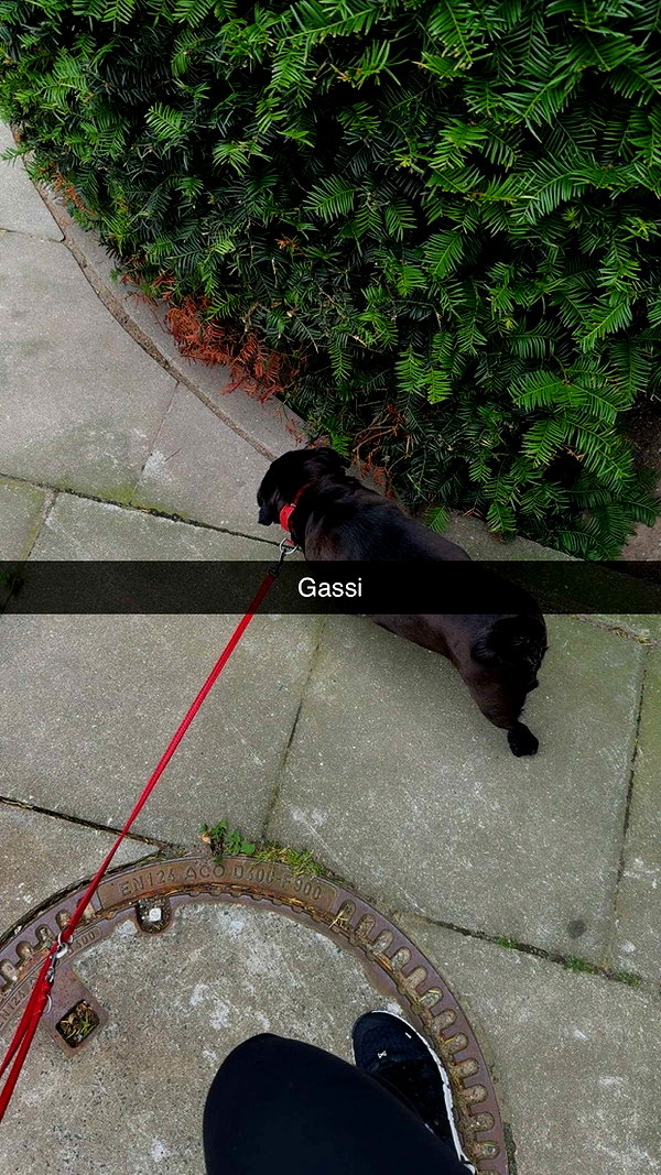 alexissshv snapchat image archive image