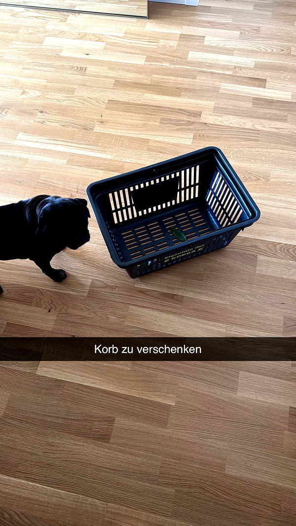 alexissshv snapchat image archive image