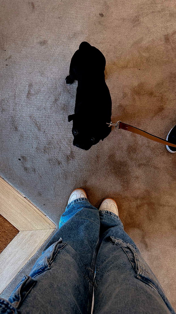 alexissshv snapchat image archive image