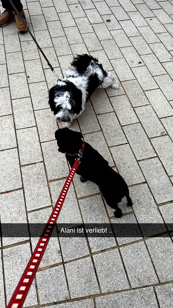 alexissshv snapchat image archive image