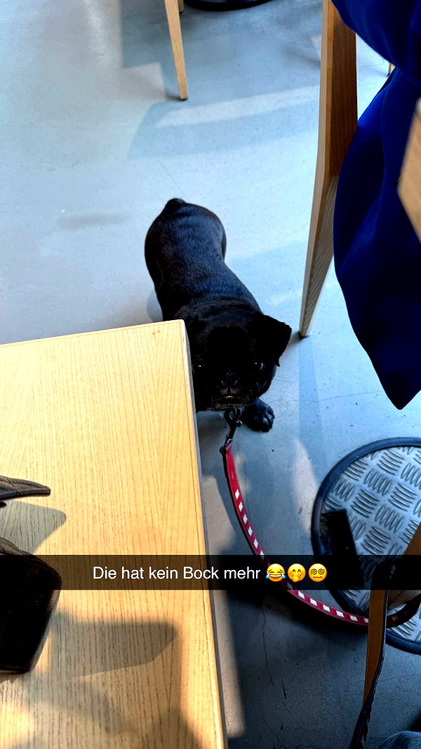 alexissshv snapchat image archive image
