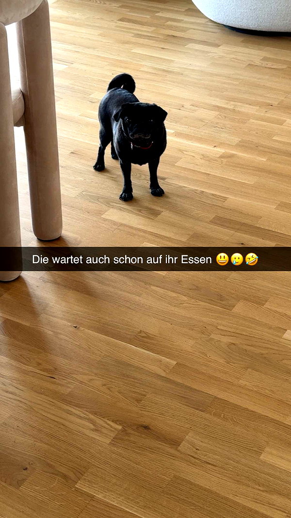 alexissshv snapchat image archive image