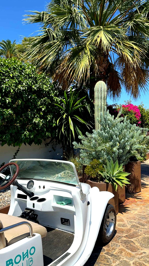alexissshv snapchat image archive image