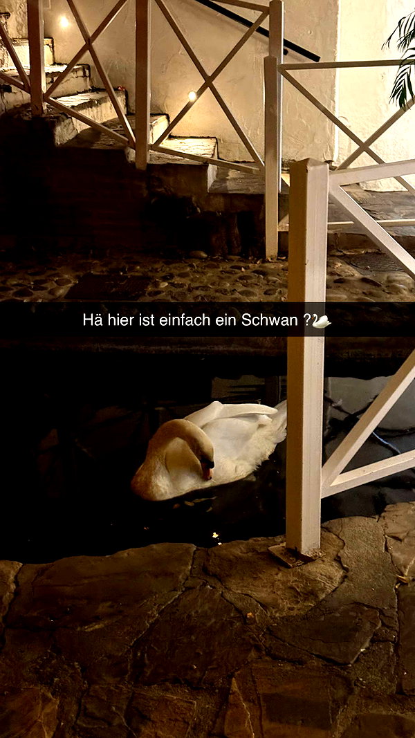 alexissshv snapchat image archive image