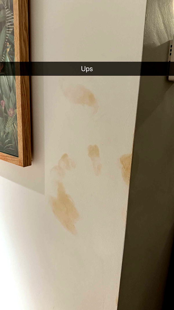 alexissshv snapchat image archive image