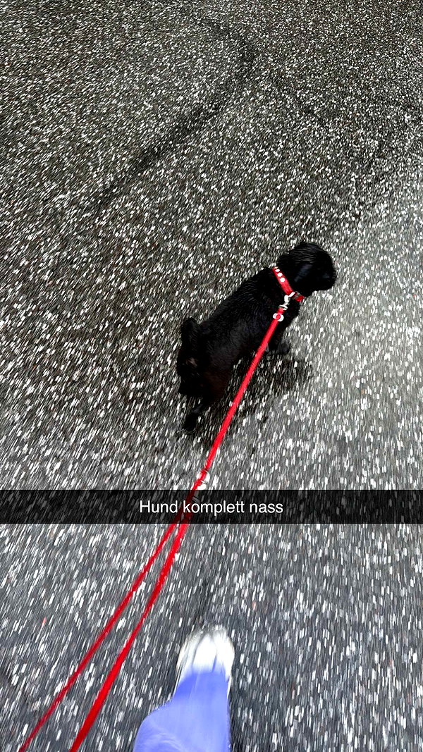 alexissshv snapchat image archive image