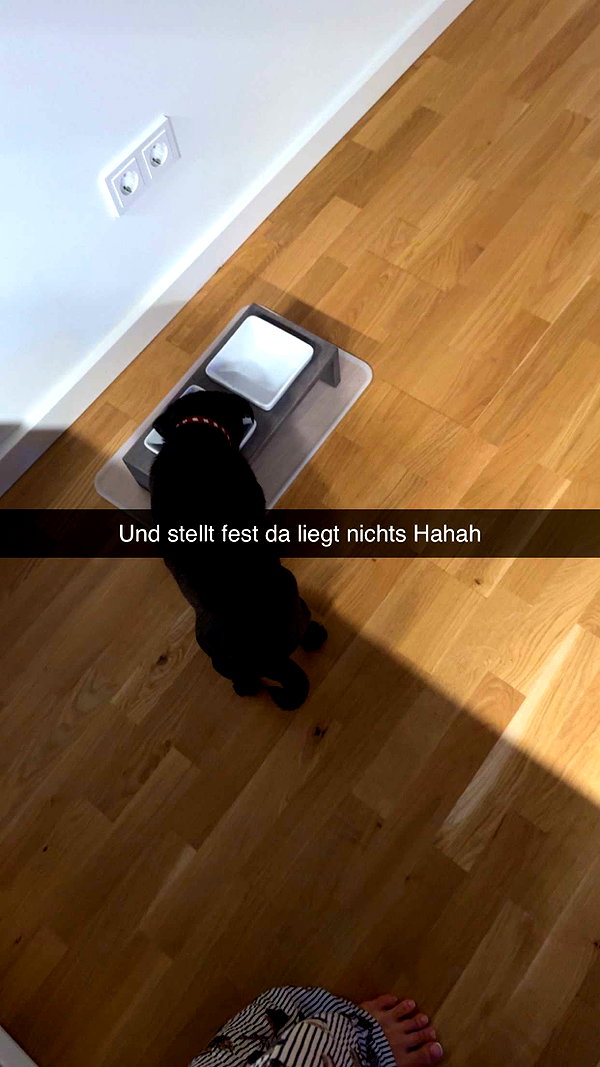 alexissshv snapchat image archive image