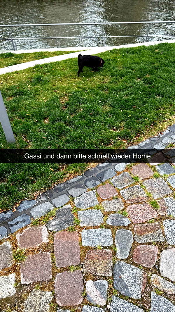 alexissshv snapchat image archive image