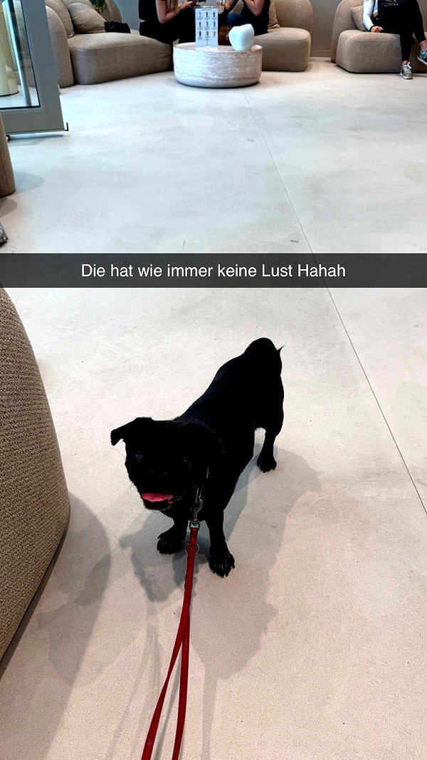 alexissshv snapchat image archive image