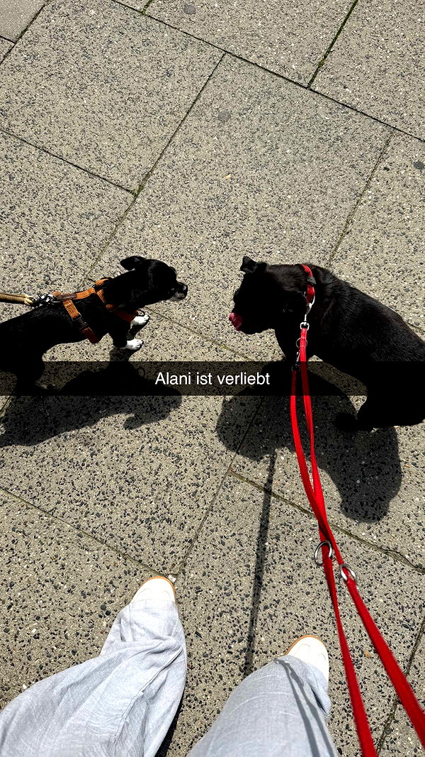 alexissshv snapchat image archive image