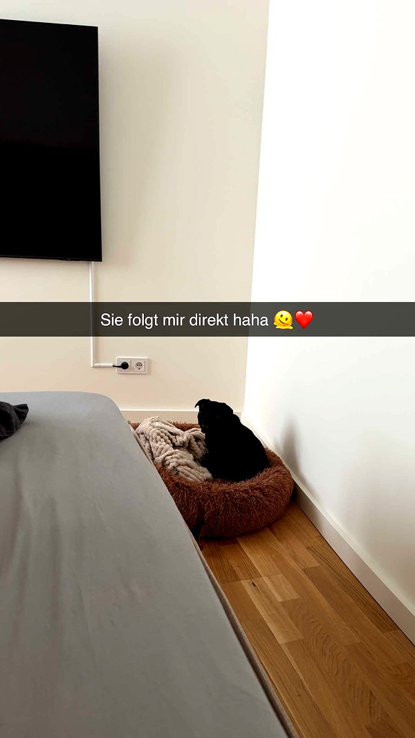 alexissshv snapchat image archive image
