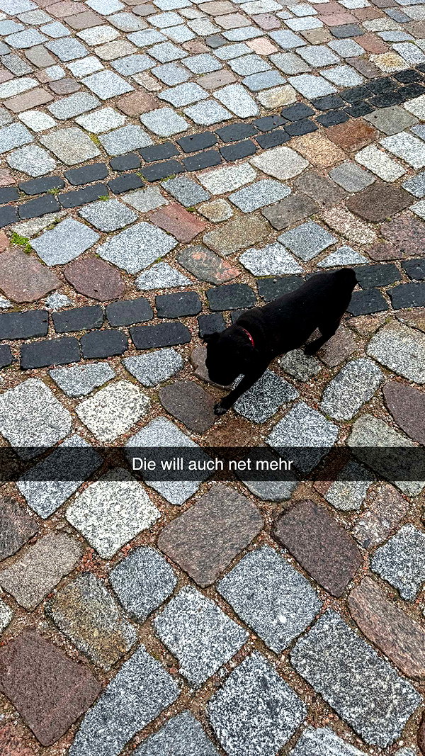 alexissshv snapchat image archive image