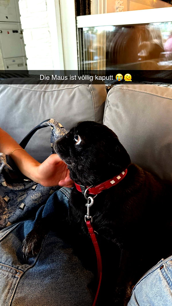 alexissshv snapchat image archive image