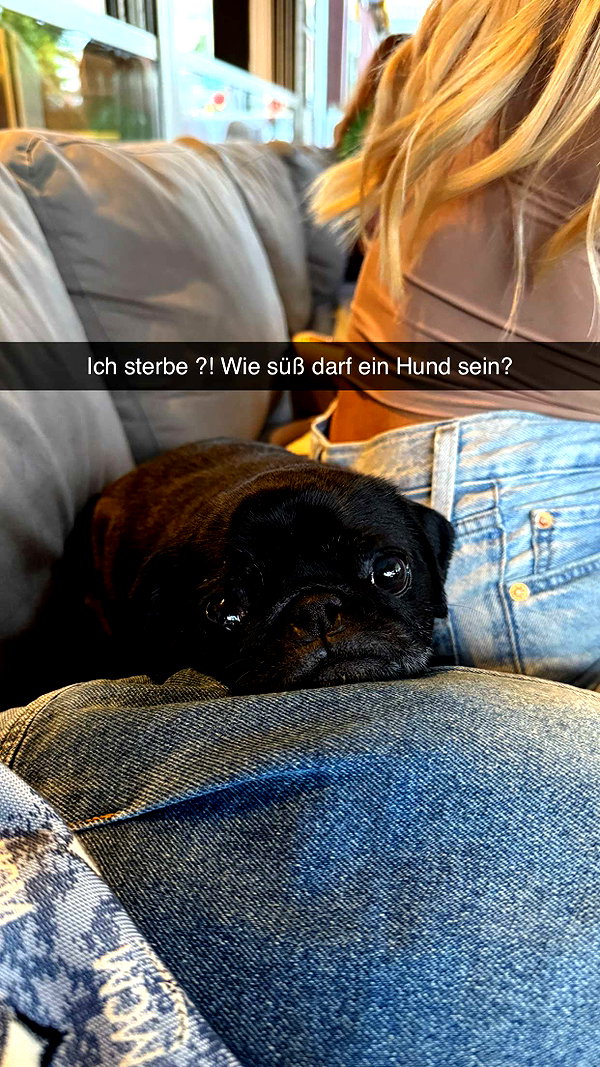 alexissshv snapchat image archive image
