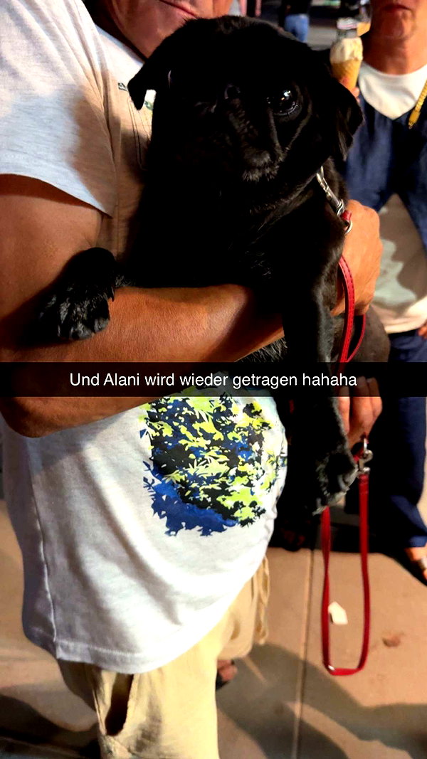 alexissshv snapchat image archive image