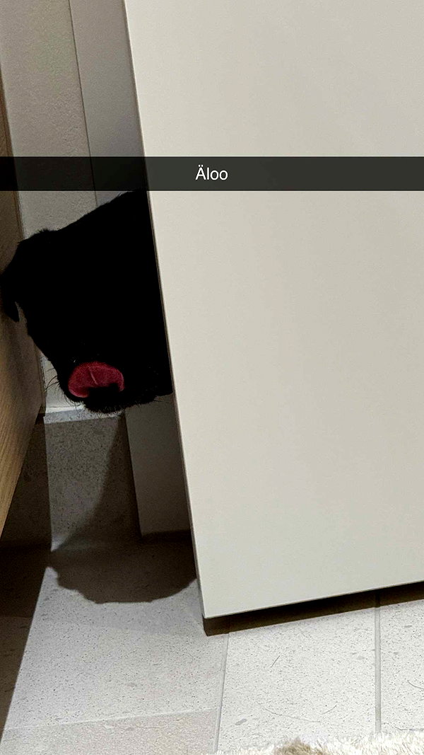 alexissshv snapchat image archive image