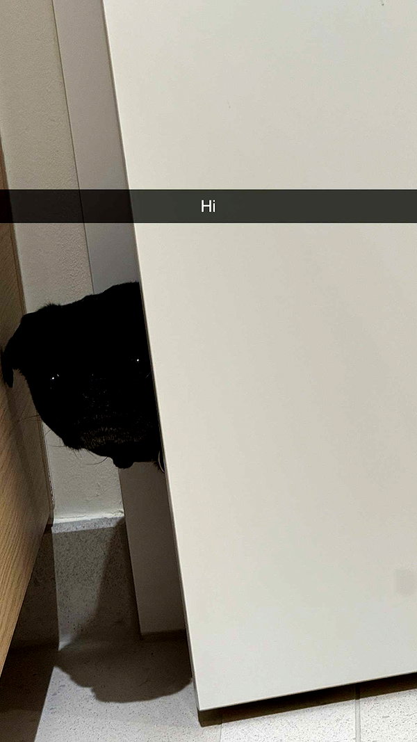 alexissshv snapchat image archive image