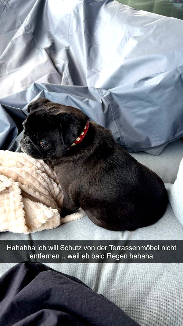 alexissshv snapchat image archive image