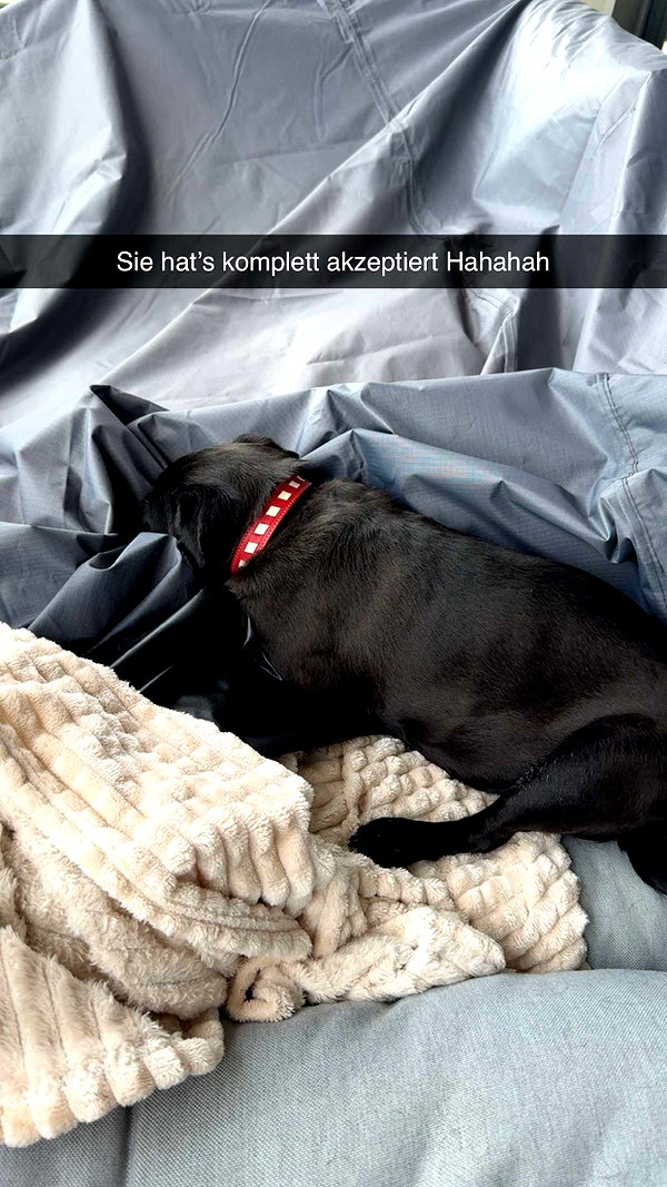 alexissshv snapchat image archive image