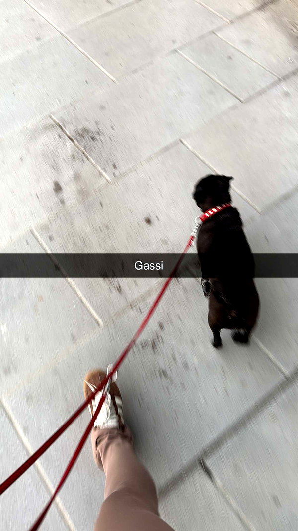 alexissshv snapchat image archive image