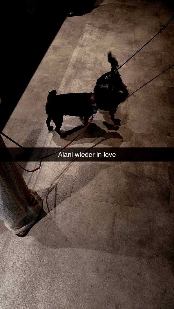 alexissshv snapchat image archive image