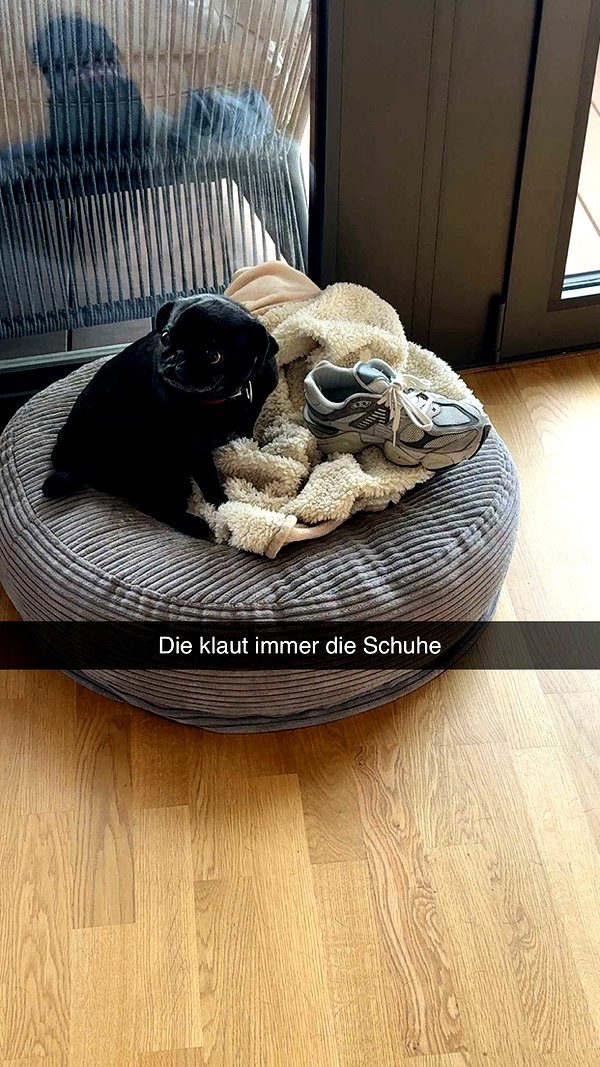 alexissshv snapchat image archive image