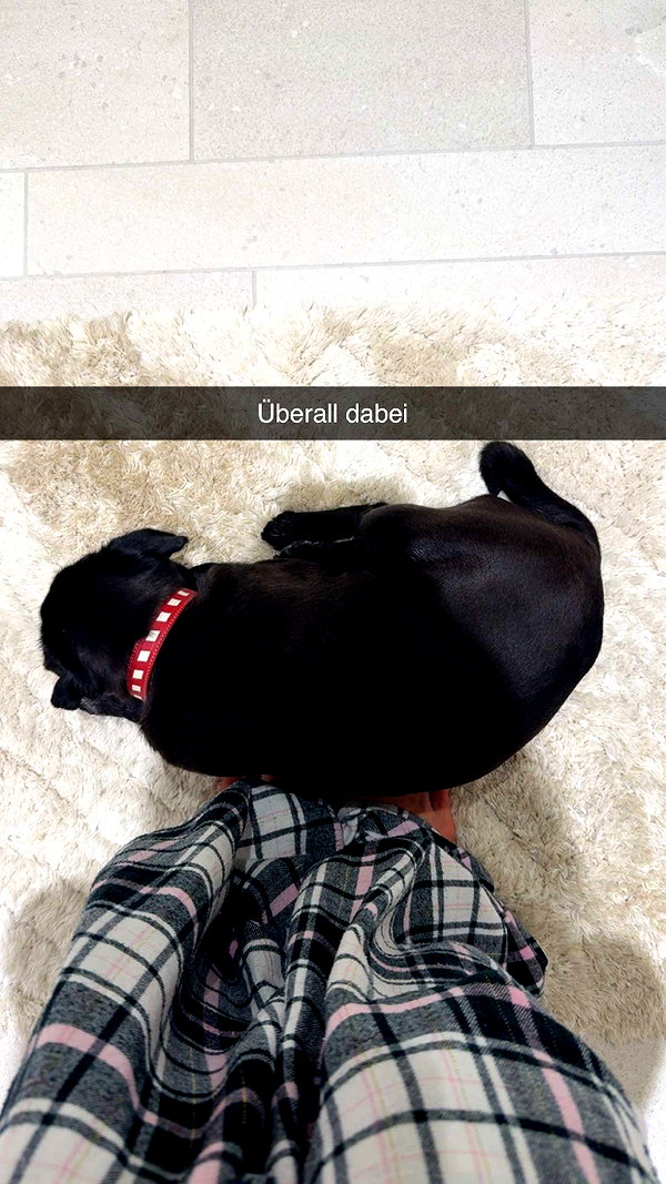 alexissshv snapchat image archive image