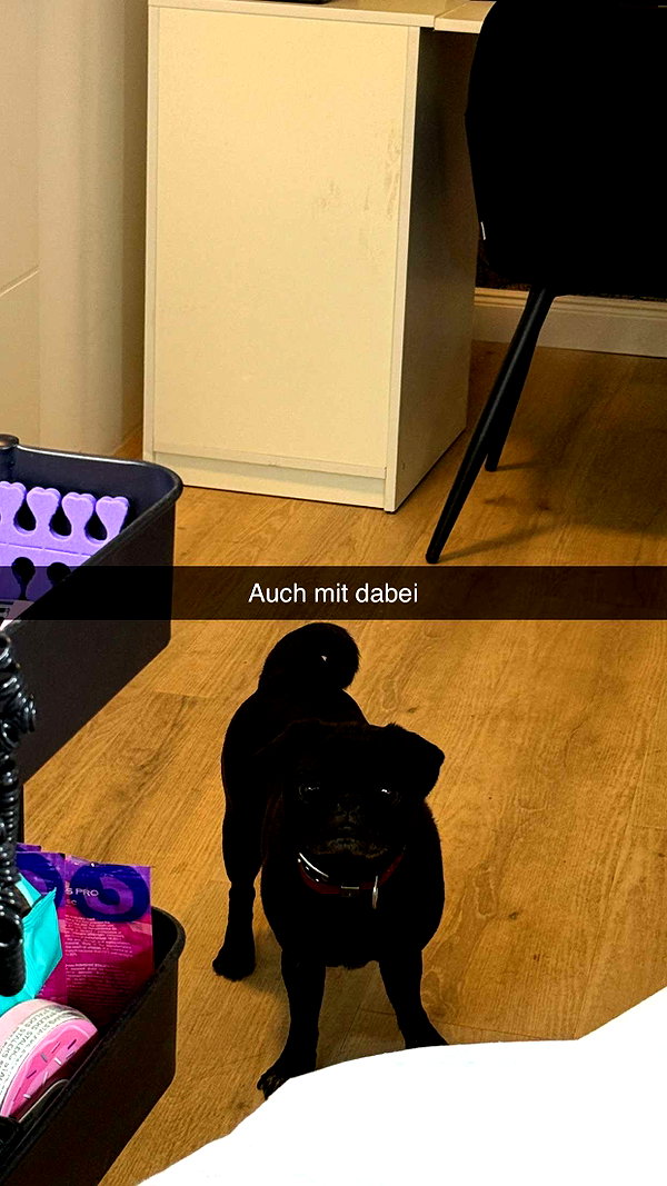 alexissshv snapchat image archive image
