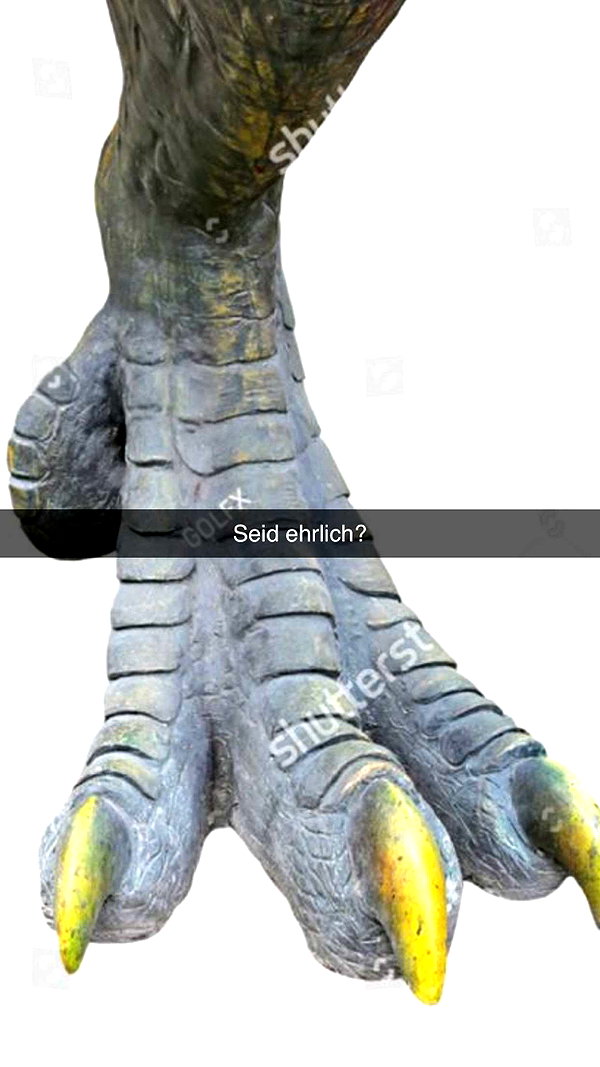alexissshv snapchat image archive image