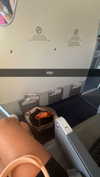 alexissshv Altpins Profile Picture