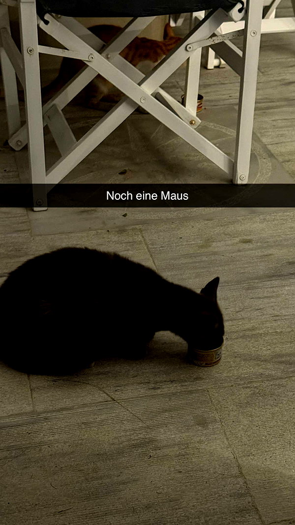 alexissshv snapchat image archive image