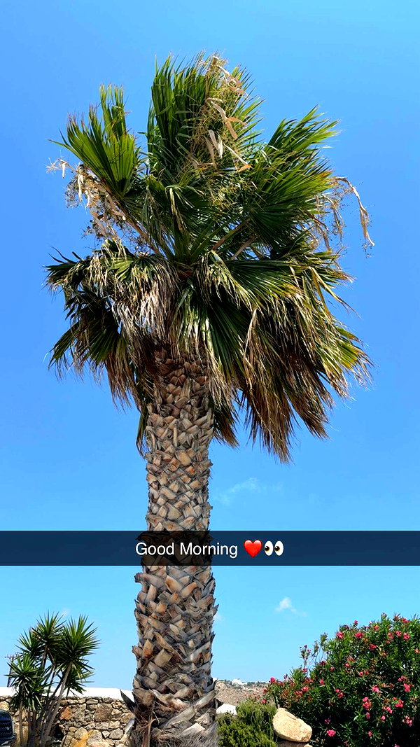 alexissshv snapchat image archive image
