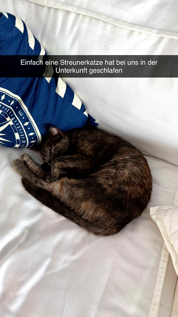 alexissshv snapchat image archive image