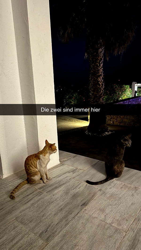 alexissshv snapchat image archive image