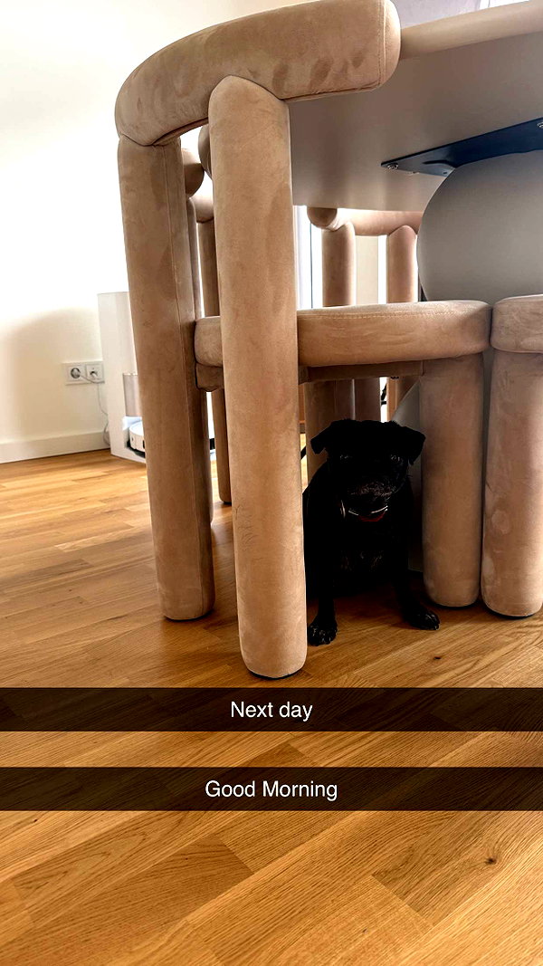 alexissshv snapchat image archive image