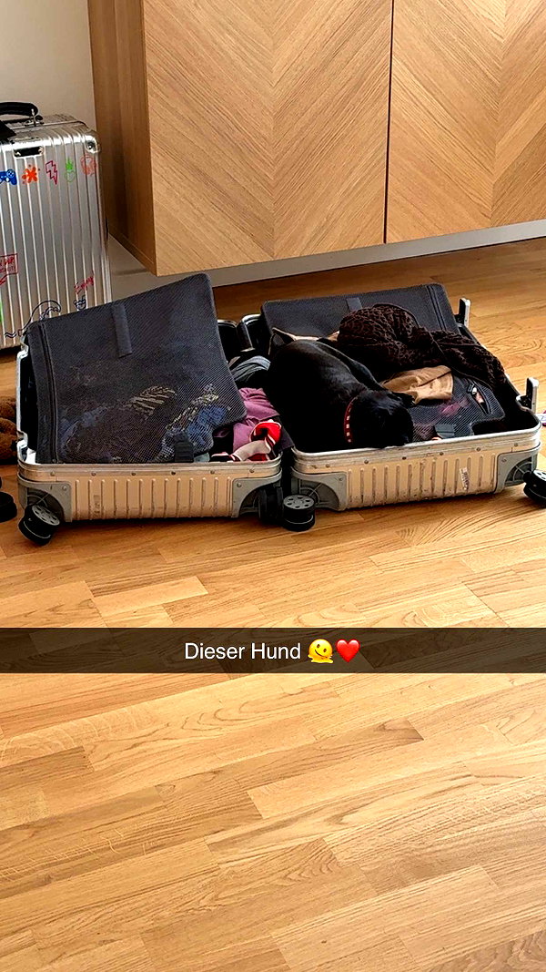 alexissshv snapchat image archive image